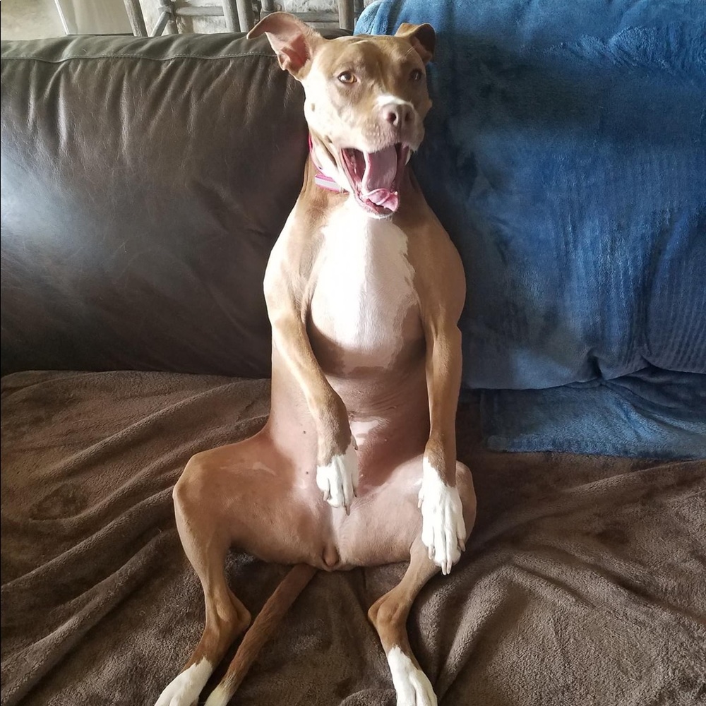 Meet your Posher, Jennifer